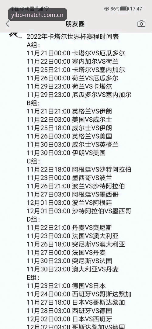 世界杯观赛签证受阻？亿博体育用户必备的行前实用指南
